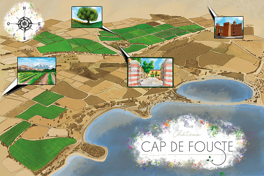 Notre vignoble - CARTE INTERACTIVE